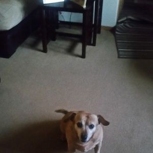 Meet your Posher, Kelly